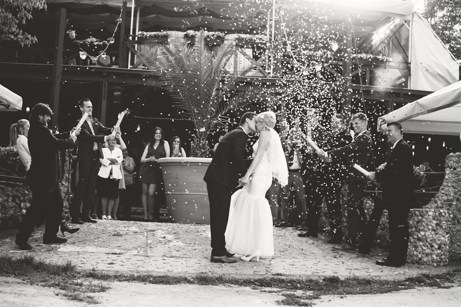 Foto:Photoszintézis